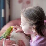 can you be allergic to budgies?
