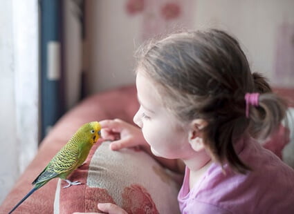are parakeets good pets for 10 year olds?